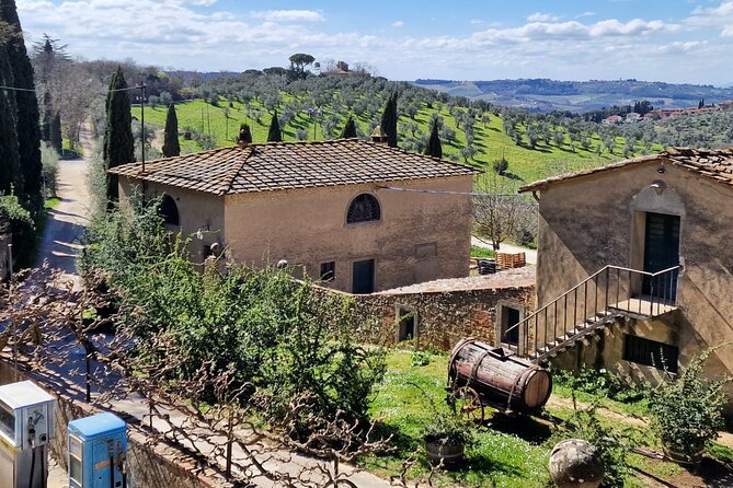 Private Wine Tour Top Wineries, Limousine Service, Florence Tours - The Flexible 45-Minute Winery Stop (Sometimes Skipped)
