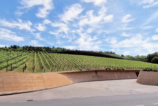 Private Wine Tour Top Wineries, Limousine Service, Florence Tours - Touring the Chiantigiana Area: What the “Scenery Stops” Really Do