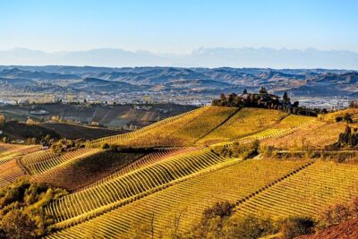 Radda in Chianti: Wine Tasting Tour with lunch at the Winery - Quick Hit: What Makes This Tour Worth Your Time