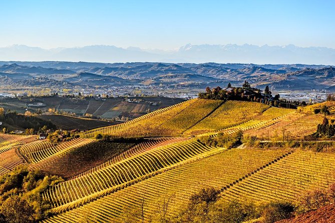 Radda in Chianti: Wine Tasting Tour with lunch at the Winery - Quick Hit: What Makes This Tour Worth Your Time