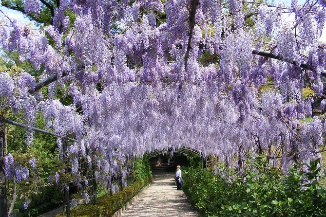 Royal Paths of Florence: Explore the Boboli Gardens - Timing, start point, and walking smart around Boboli’s hill