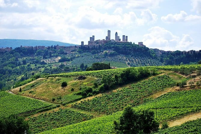 San Gimignano and Chianti Classico Wine and Food PRIVATE TOUR from Florence - Chianti Classico and San Gimignano, planned around your pace