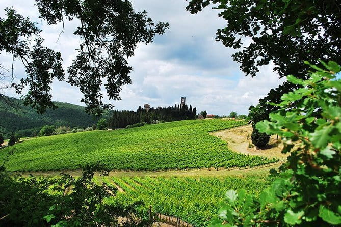 San Gimignano and Chianti Classico Wine and Food PRIVATE TOUR from Florence - Your 9:30 a.m. start: easy logistics, less stress