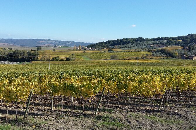 San Gimignano and Chianti tour - Marco’s touch: when timing and driving feel like VIP service