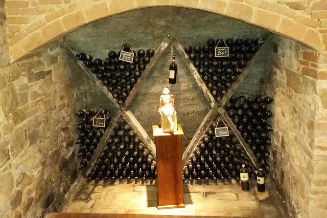 San Gimignano and Chianti tour - Who should book this San Gimignano and Chianti day trip