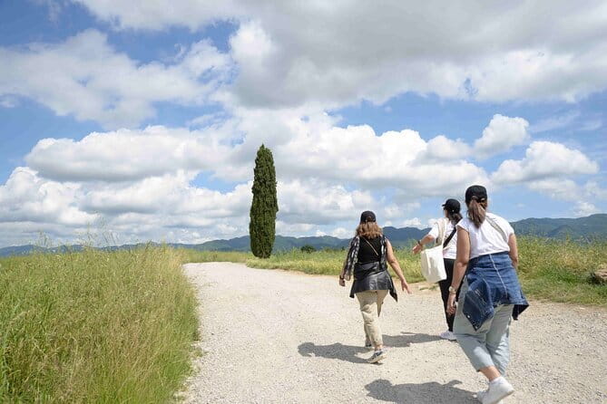 San Gimignano Bike Tour (SOFT) - Timing and Pacing: A Full 8 Hours You Can Still Enjoy