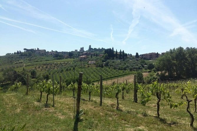 San Gimignano, Saffron and Vernaccia Wine from Florence - Key Things I’d Not Miss