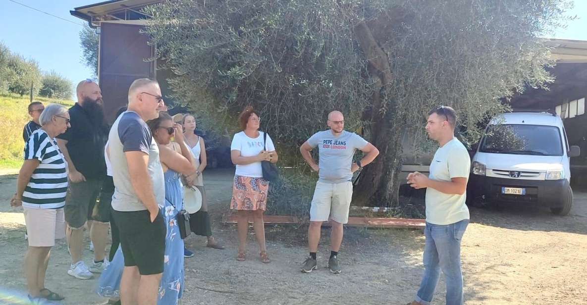 Seggiano: Typical Tuscan Farm Tour with Olive Oil Tasting - Olio Abbraccio in Seggiano: what the tour is really about