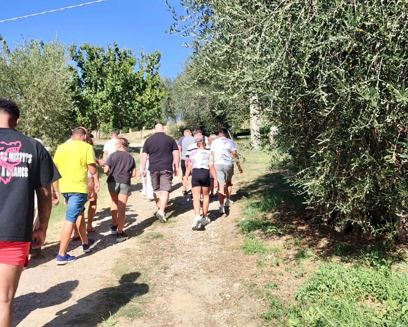 Seggiano: Typical Tuscan Farm Tour with Olive Oil Tasting - Value: is $53 for a 2-hour farm tour worth it?