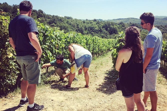 Semi-Private Chianti Wine Tour with Dinner in Tuscany Vineyard - Dinner Among the Vines: The Part You’ll Remember