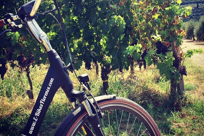 Semi-Private Chianti Wine Tour with Dinner in Tuscany Vineyard - Timing Tricks: Making the Most of a 3 pm Start