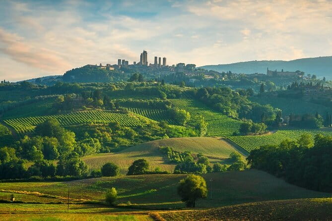Semi Private Deep Wine Chianti and San Gimignano from Florence - San Gimignano: towers, shops, and real free time
