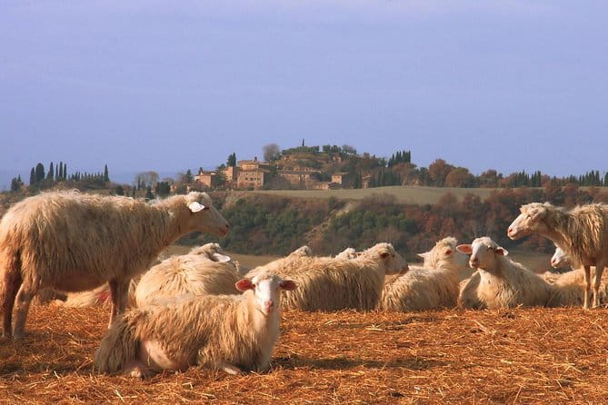 Semi-Private Gluten-Free Cooking Class in Florence - Celiac-safe cooking: what to watch for and what to tell them