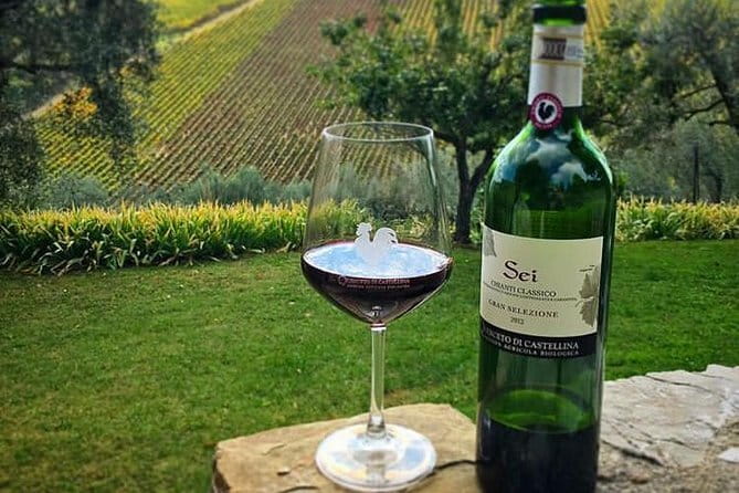 Siena and Chianti Wineries Excursion by Private Luxury Van from Florence - The driver makes the difference