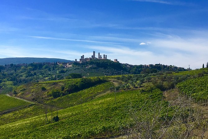 Siena and San Gimignano Tour from Florence - Siena’s Piazza del Duomo: Easy Photos, Then Duomo Tickets on Spot