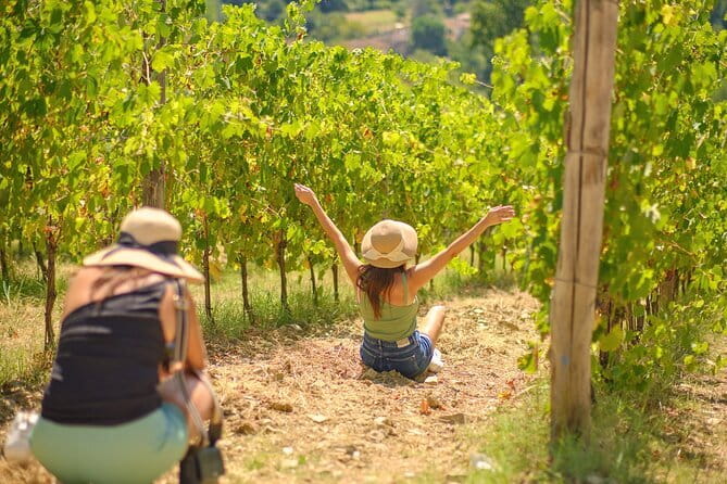 Siena, Cortona, Montepulciano & Val D'Orcia in a Small Group Tour - How the tastings work (and what you’ll actually taste)
