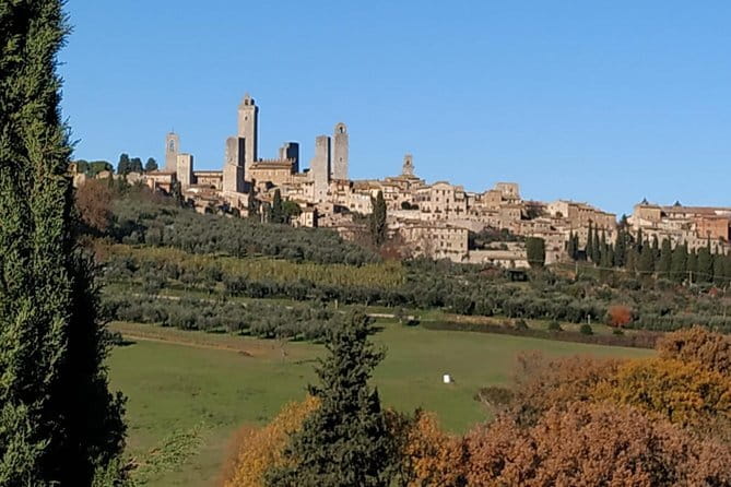 Siena Monteriggioni San Gimignano with Lunch&WineTasting Fullday from Florence - San Gimignano’s fine towers: walking the UNESCO skyline