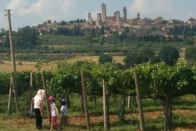 Siena Monteriggioni San Gimignano with Lunch&WineTasting Fullday from Florence - Tenuta Torciano wine tasting and light lunch: where the day slows down