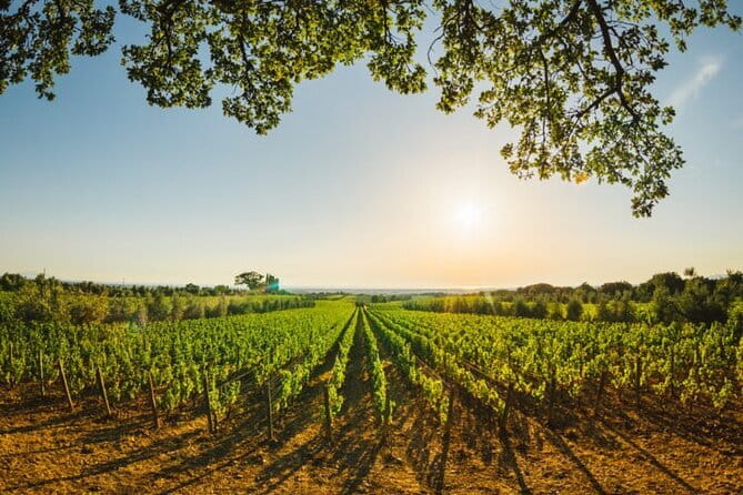 Siena & San Gimignano: Exclusive Tuscany Day Trip from Florence - San Gimignano towers: what your free time is best for