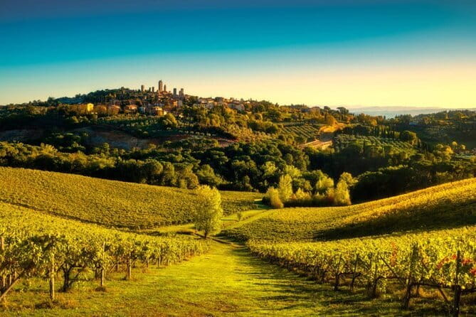 Siena & San Gimignano: Exclusive Tuscany Day Trip from Florence - The winery lunch and wine tasting stop near San Gimignano