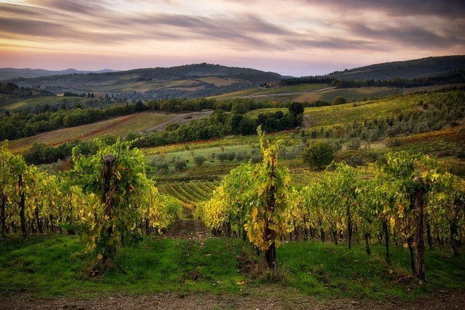 Sightseeing Tuscany by touring bike - 1 day rental - Getting Out Of Florence Fast With A Touring Bike That Sets the Pace