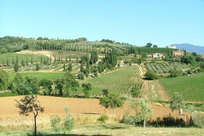 Sightseeing Tuscany by touring bike - 1 day rental - What You Actually Get for Your 1-Day Rental Price