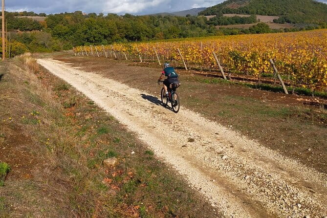 Sightseeing Tuscany by touring bike - 1 day rental - Keeping Your Bearings: Maps, Phone Holder, and Freedom From Crowds