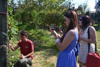 Small-Group Brunello Wine Tour of Montalcino from Florence - Meeting point in Florence and the 9:00 am rhythm