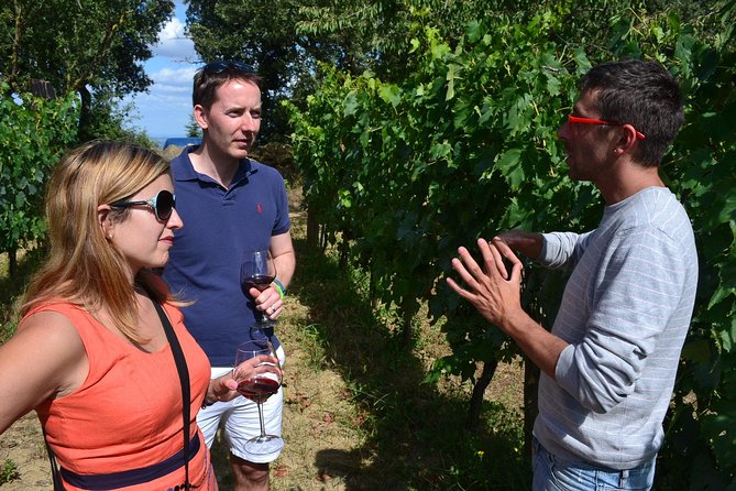 Small-Group Brunello Wine Tour of Montalcino from Florence - How to taste Brunello without feeling out of place