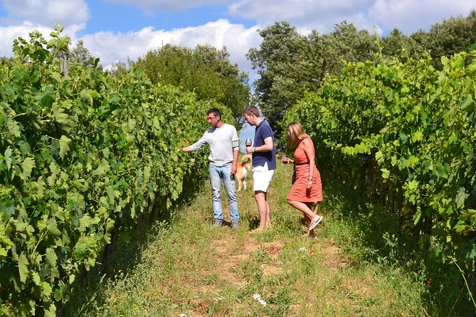 Small-Group Brunello Wine Tour of Montalcino from Florence - Lunch and wine pairing: why the food is not filler
