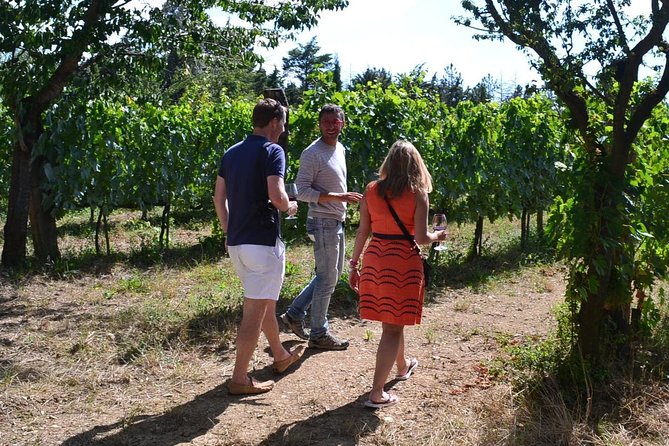 Small-Group Brunello Wine Tour of Montalcino from Florence - Group size, no kids, and why it changes the vibe