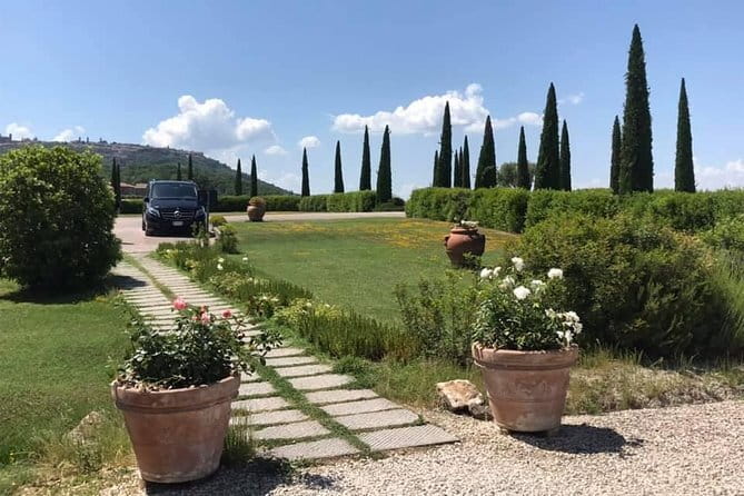 Small group Chianti-side wine tour with Mercedes V class Van - Why This Chianti Tour Feels Easier Than DIY