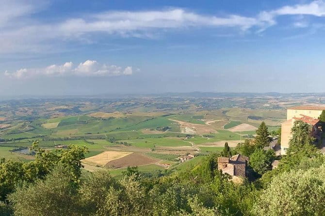 Small group Chianti-side wine tour with Mercedes V class Van - Stop 1 at Casa Emma: A Tasting With Local Snacks
