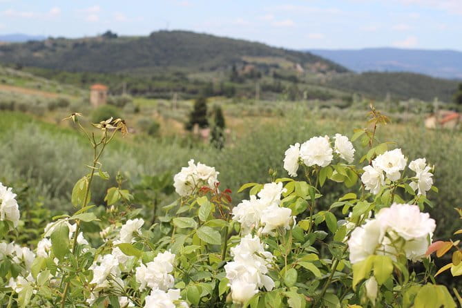 SMALL GROUP Chianti Tradition wine tour (max 8 pp) - Key highlights to look for