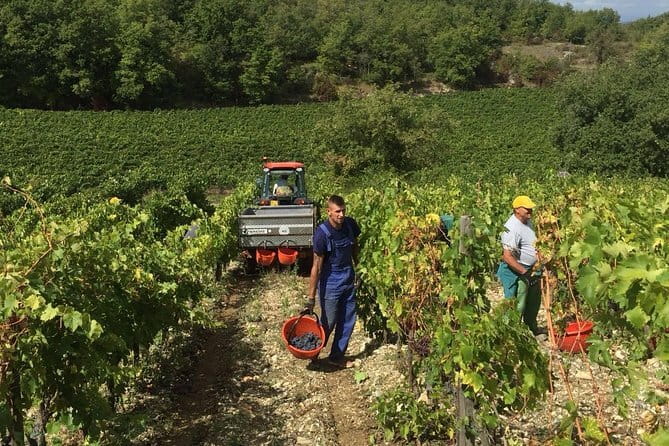 Small Group Chianti Wine Tasting with Seven Tuscan Wines - Florence to Chianti at 10:00: The day’s rhythm