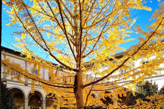 Small Group Medici and Michelangelo Tour in Florence - Piazza Strozzi to Piazza Santo Spirito: a walk that feels local