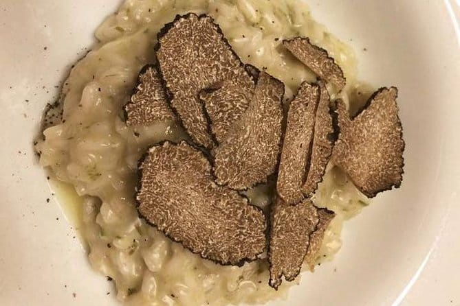 Small group PURO Vegan pasta and bruschette Class in Florence - PURO Vegan in Florence: Why this cooking class feels different