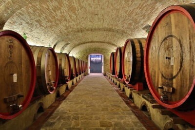 SMALL-GROUP Wine Safaris: Tuscan Wine Tasting Tours from Florence - Val d’Orcia in One Day: Brunello and Montepulciano With a Pienza Cheese Farm Lunch