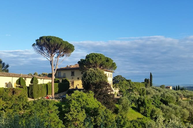 Small Group Wine Tasting in Tuscany with Vineyard Visit - What you’ll actually taste (and why it feels generous)