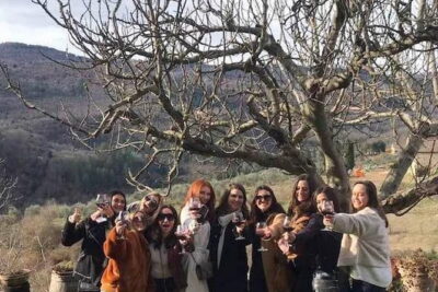 Small Group Wine Tasting in Tuscany with Vineyard Visit - The sommelier lesson: how wine goes from vine to bottle
