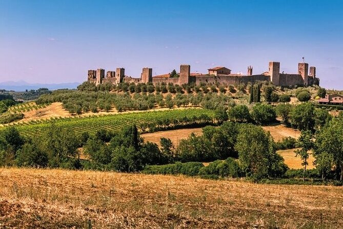 Special Chianti Afternoon Wine Tour from Florence - The Wine Breakdown: Sangiovese, Merlot, and What Makes Chianti Taste Like Chianti