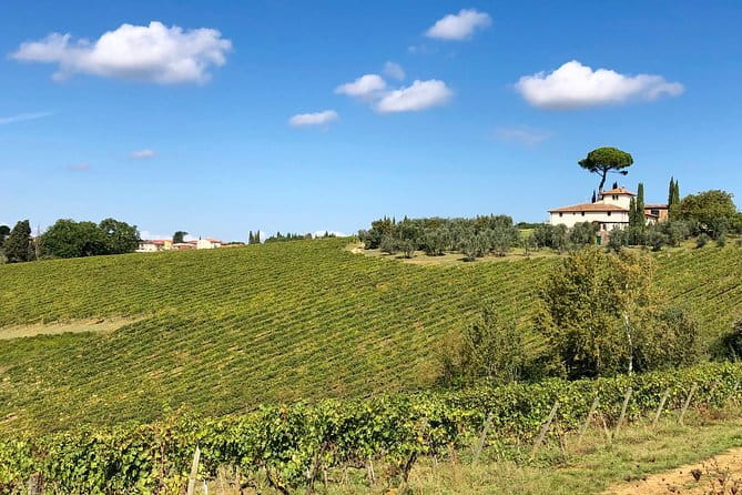 Sunset VIP Chianti wine tour - Getting to the hills without logistics stress