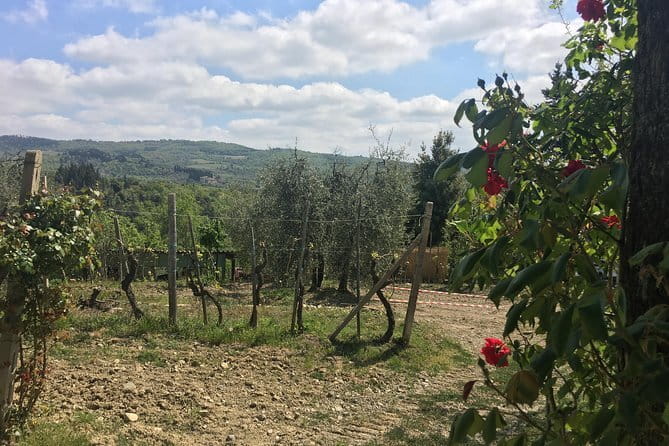 Sunset VIP Chianti wine tour - Stop 1: La Castellina in the Squarcialupi tradition