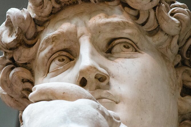The Medici family and the Renaissance with a local art historian - Key things to know before you go