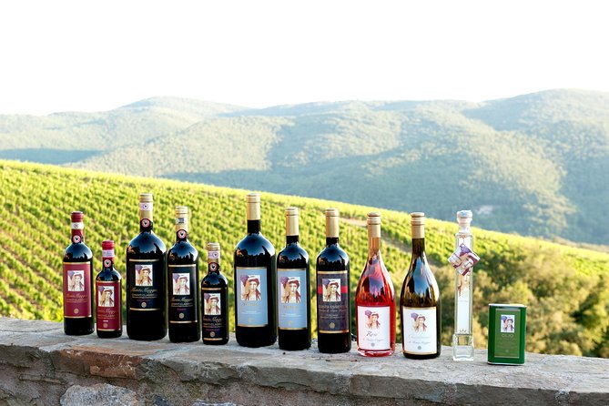 Tour and Tasting at an Organic Winery in the Heart of Chianti Classico Area - Key things that make this Chianti tasting different