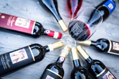 Tour and Tasting at an Organic Winery in the Heart of Chianti Classico Area - The cellar tour: where the wine story gets practical
