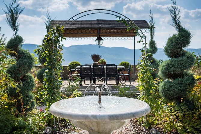 Tour and Tasting at an Organic Winery in the Heart of Chianti Classico Area - Price and time: is $48.36 worth it?