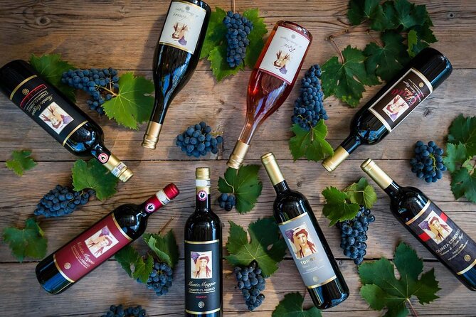 Tour and Tasting at an Organic Winery in the Heart of Chianti Classico Area - Should you book Fattoria di Montemaggio?