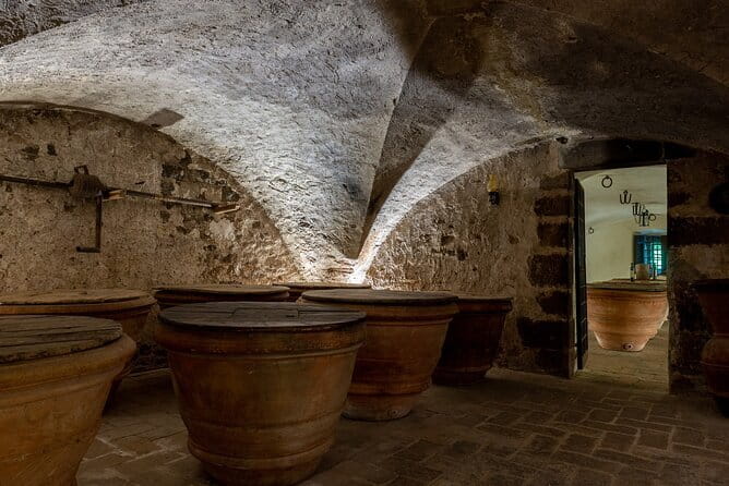 Tour of 900year old secret cellars + tasting of 3 wines and bread with EVO oil - Exploring the Castle Life Without Feeling Like a Museum