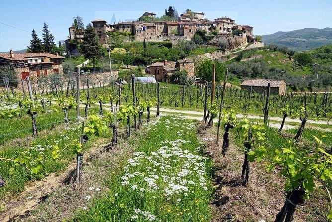 Tour of Chianti for small groups departing from Florence or surroundings - Key highlights worth packing for